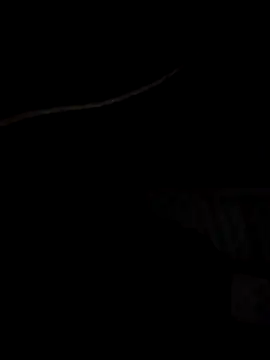 Snapshot of Xharmakesyoufeelorgasms chatting on 10/19/25, 12:11 Xharmakesyoufeelorgasms online show from 10/19/25, 12:11