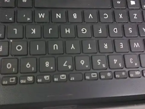 Snapshot of WetWildPussy chatting on 09/23/25, 12:35 WetWildPussy online show from 09/23/25, 12:35