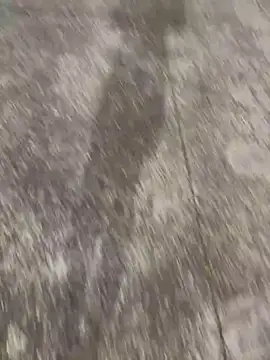 Snapshot of Foxfoxfox4 chatting on 11/28/25, 01:03 Foxfoxfox4 online show from 11/28/25, 01:03