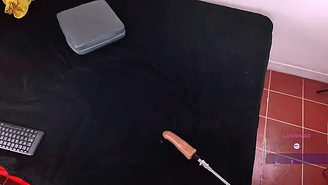 Lena Darko online show from 04/09/26, 07:41