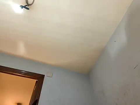 Snapshot of Junani2231 chatting on 12/20/25, 03:41 Junani2231 online show from 12/20/25, 03:41