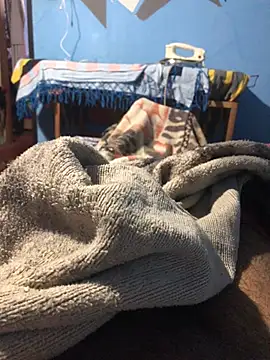 m11a2f3a4z5 online show from 03/22/26, 12:52