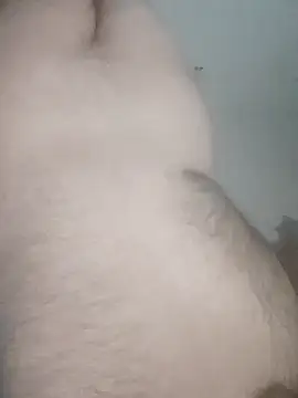 fdggdddd online show from 04/08/26, 11:16