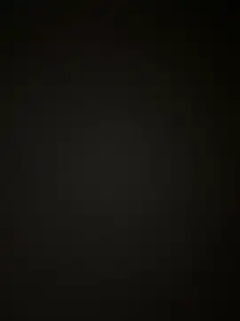 Snapshot of Handydila chatting on 10/02/25, 01:01 Handydila online show from 10/02/25, 01:01