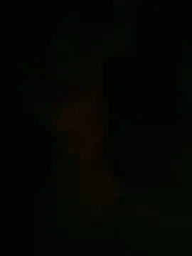 HellaWerlous online show from 01/12/26, 04:34