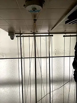 Sallem Pink online show from 01/16/26, 11:25