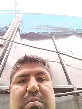 Pamaferto online show from 03/31/26, 12:16