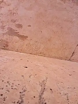 Negodabenga online show from 11/17/25, 04:46