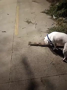 Frank0021 online show from 12/14/25, 01:33