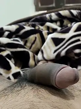 Snapshot of Bull54321 chatting on 02/14/26, 06:54 Bull54321 online show from 02/14/26, 06:54