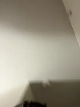 Tu GataLinda online show from 09/25/25, 10:02