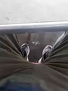 Aliyeni1 online show from 12/01/25, 09:25