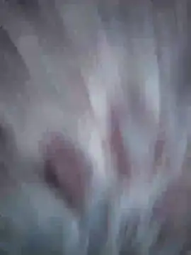 Aliyeni1 online show from 04/17/26, 12:08