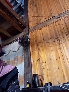 TinTin321 online show from 11/26/25, 05:41