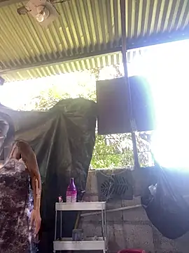 wildpussycat69 online show from 04/16/26, 01:39