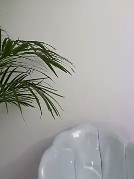 Ariana2017 online show from 02/06/26, 10:24