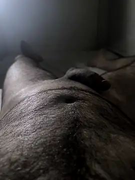 gighihgujbg online show from 03/28/26, 08:30