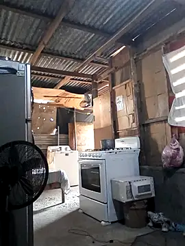 Steehood online show from 11/20/25, 02:50