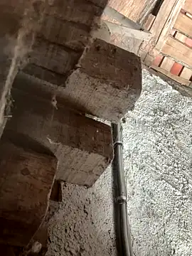 Snapshot of fcach2244 chatting on 09/09/25, 08:25 fcach2244 online show from 09/09/25, 08:25