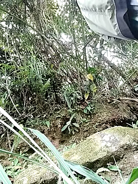 pitersonntt online show from 02/10/26, 08:24