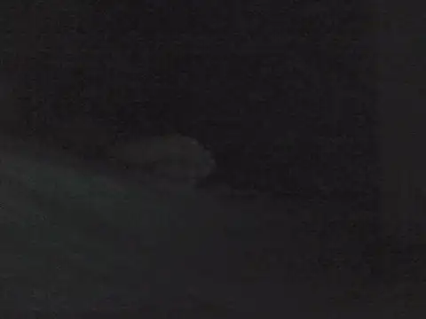 sarahkat86 online show from 10/30/25, 01:01