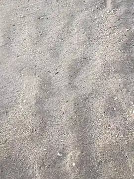 sarahkat86 online show from 11/05/25, 12:16