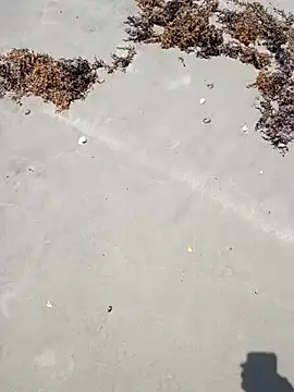 sarahkat86 online show from 04/06/26, 04:52