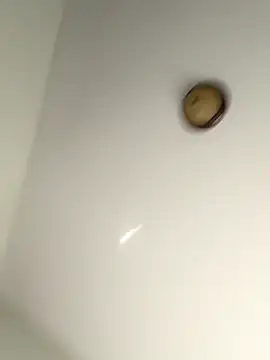 lilcubangoddess online show from 10/28/25, 02:31