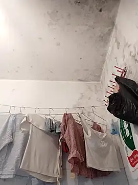 Snapshot of naop04 chatting on 11/01/25, 11:29 naop04 online show from 11/01/25, 11:29