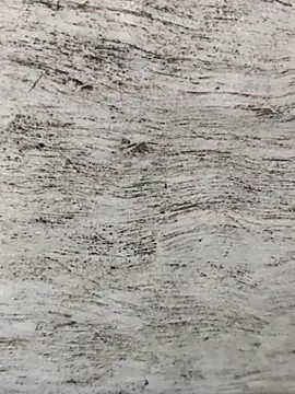 hot plak online show from 11/29/25, 04:43