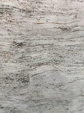 hot plak online show from 11/30/25, 05:17