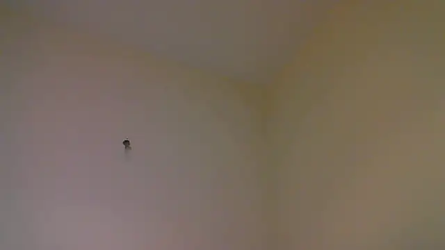 Snapshot of str8matesirishoz chatting on 10/15/25, 04:01 str8matesirishoz online show from 10/15/25, 04:01