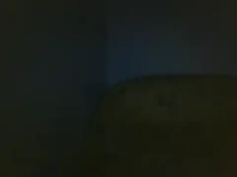 Snapshot of Aranox098 chatting on 11/23/25, 02:55 Aranox098 online show from 11/23/25, 02:55