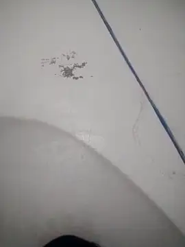 Celestial Field online show from 04/09/26, 04:45