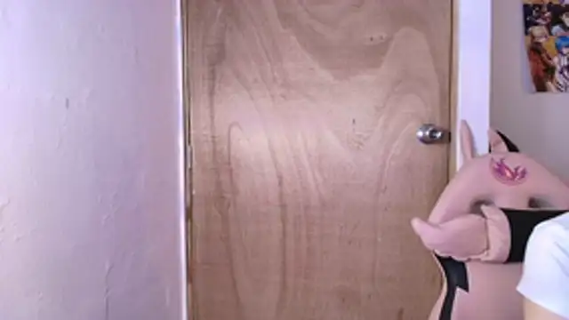 Terraelowen online show from 02/19/26, 11:28