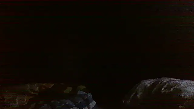 raredick online show from 04/13/26, 03:39