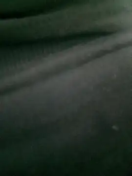 Rose 194 online show from 10/14/25, 01:12