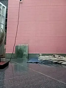 Rose 194 online show from 10/26/25, 02:56