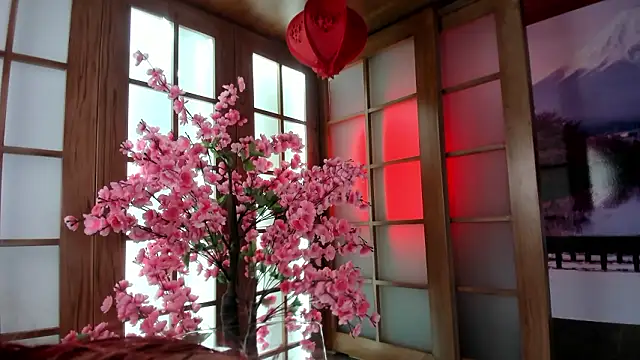 miss   abigail online show from 02/09/26, 02:04