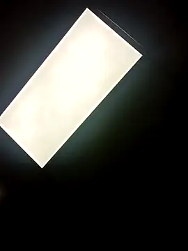 Longthickdick33 online show from 10/12/25, 06:12