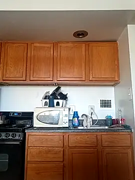 Longthickdick33 online show from 04/08/26, 01:22