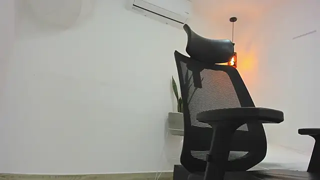 damian bull online show from 11/01/25, 08:33