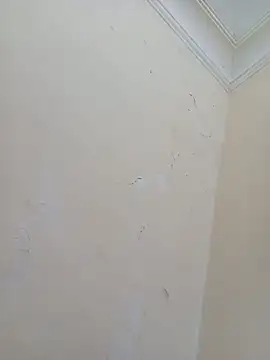 Sondosa3 online show from 10/05/25, 09:02