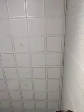 onao7 online show from 04/03/26, 03:37