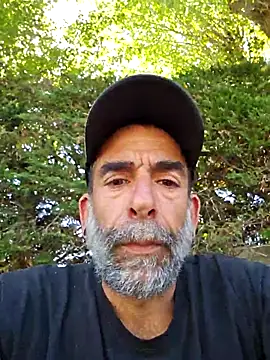 Stingles online show from 08/07/26, 10:28