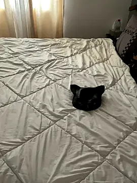 LesAmantsAE2 online show from 10/11/25, 08:13