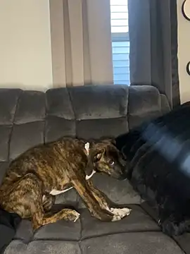 StableQuakers online show from 03/12/26, 12:22