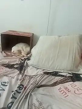 tany90 online show from 11/19/25, 08:20