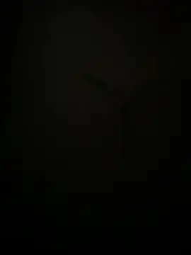 succy33 online show from 10/07/25, 04:59