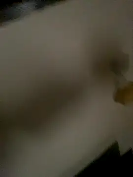 succy33 online show from 10/15/25, 07:41